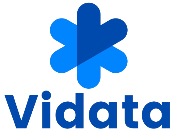 Vidata Logo